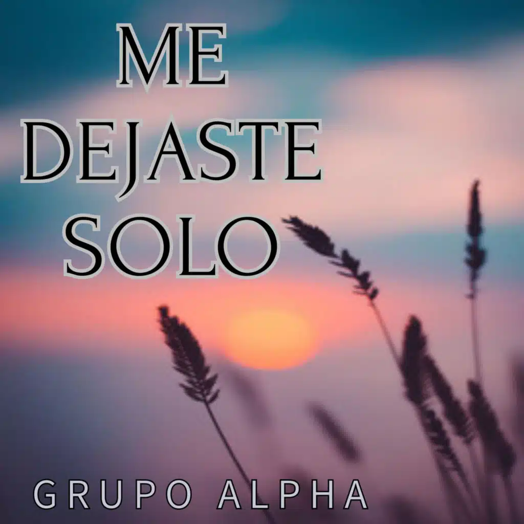 Me Dejaste Solo
