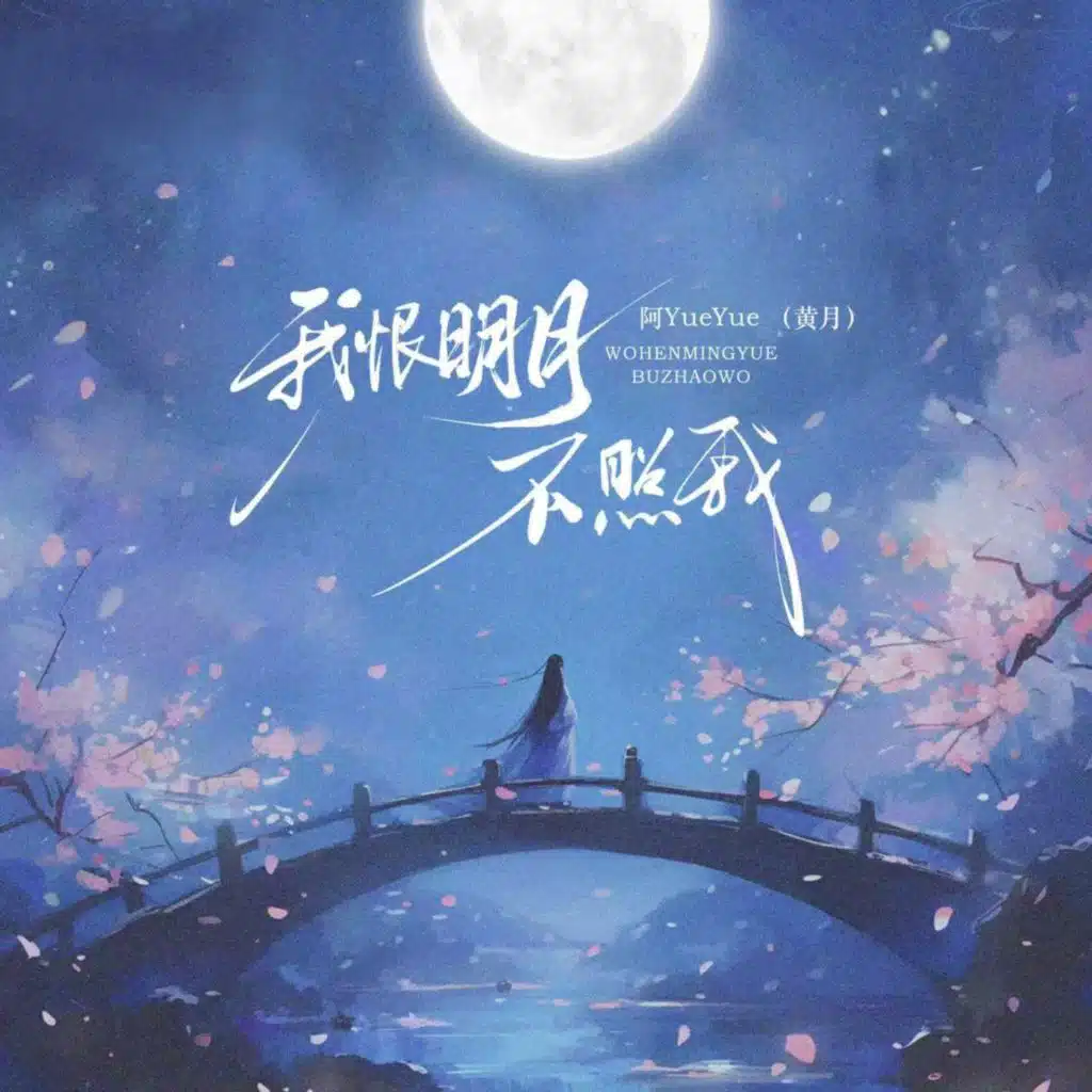 我恨明月不照我