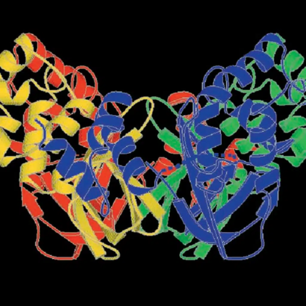 Homologous Recombination (CMB part 20)
