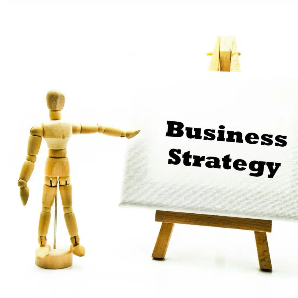 A strategy to help smaller companies survive, grow and thrive