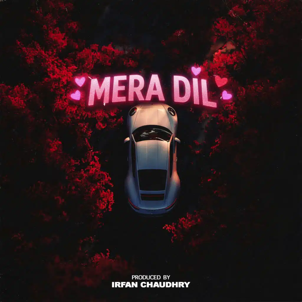 Mera Dil (feat. Sinan & Nabeel Ali)