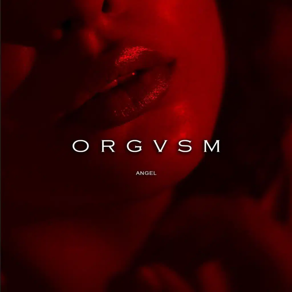 Orgvsm