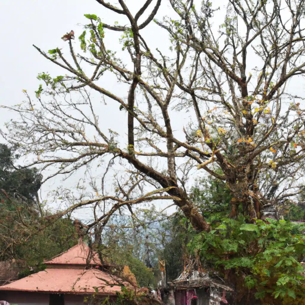 Mahasitich Biya