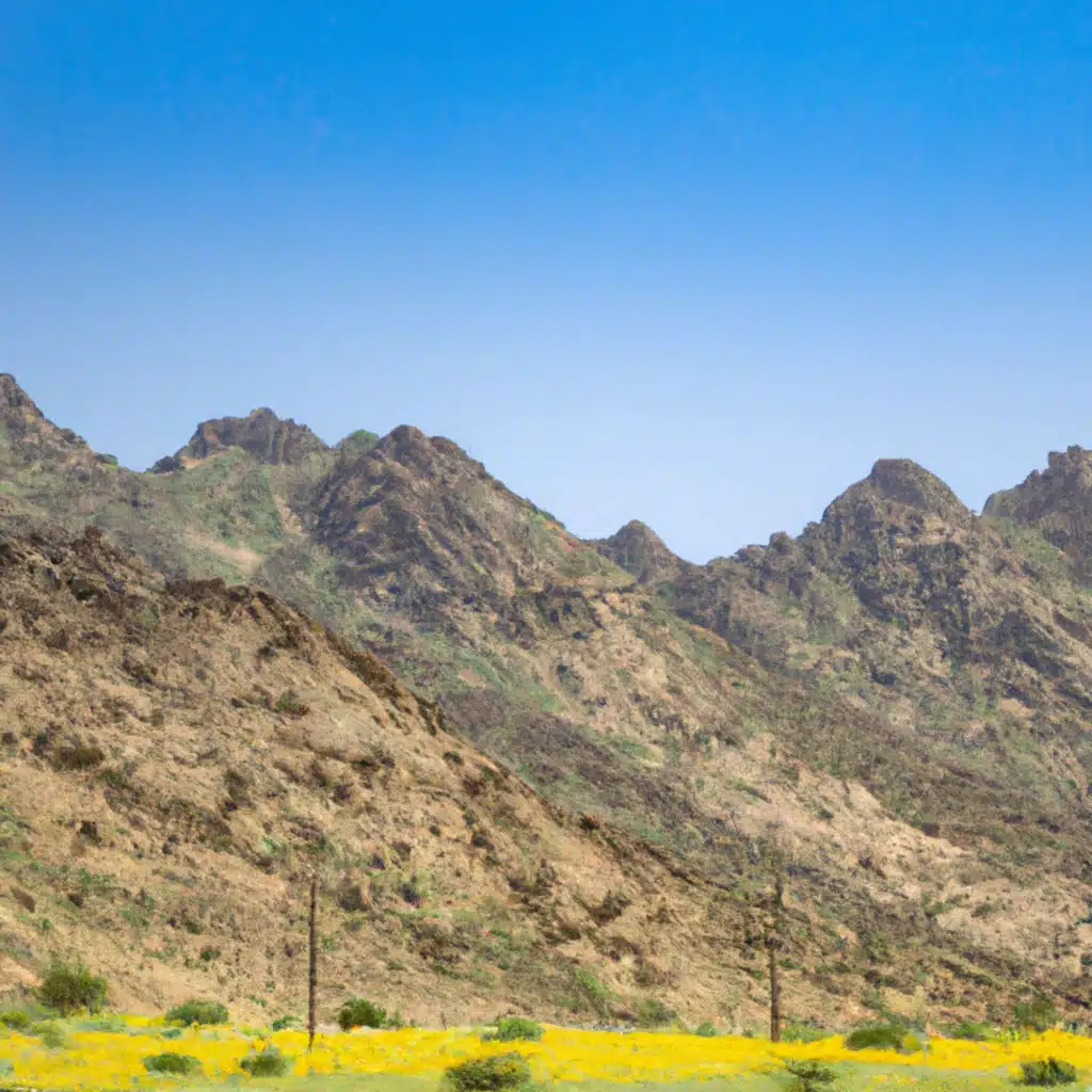 هذا السعودي فوق