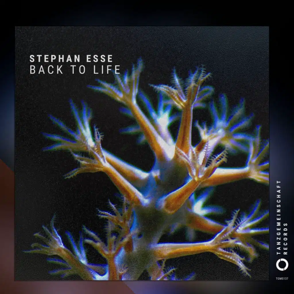 Stephan Esse