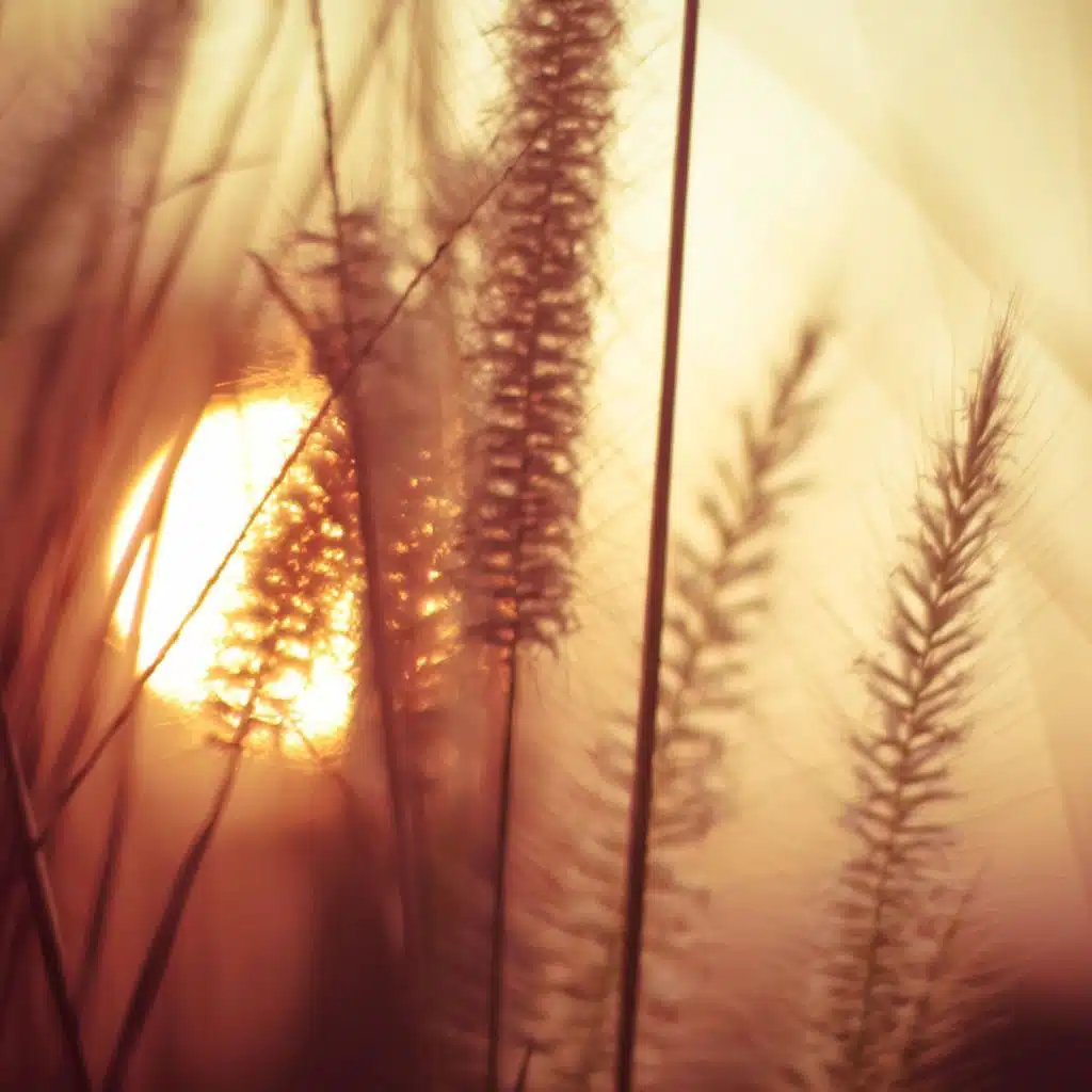 Przebudzenie Spokoju i Jasności