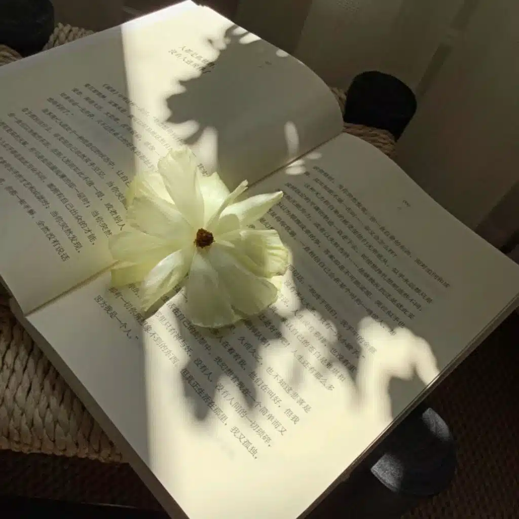 钢琴音乐传统诗人