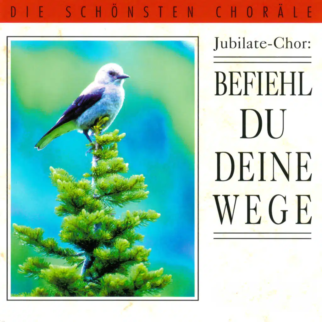 Befiehl du deine Wege - Die schönsten Choräle