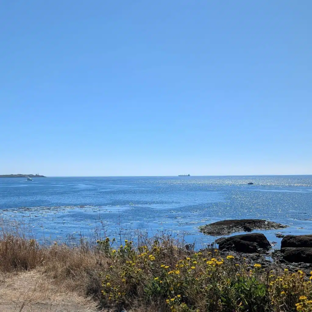 On an Island