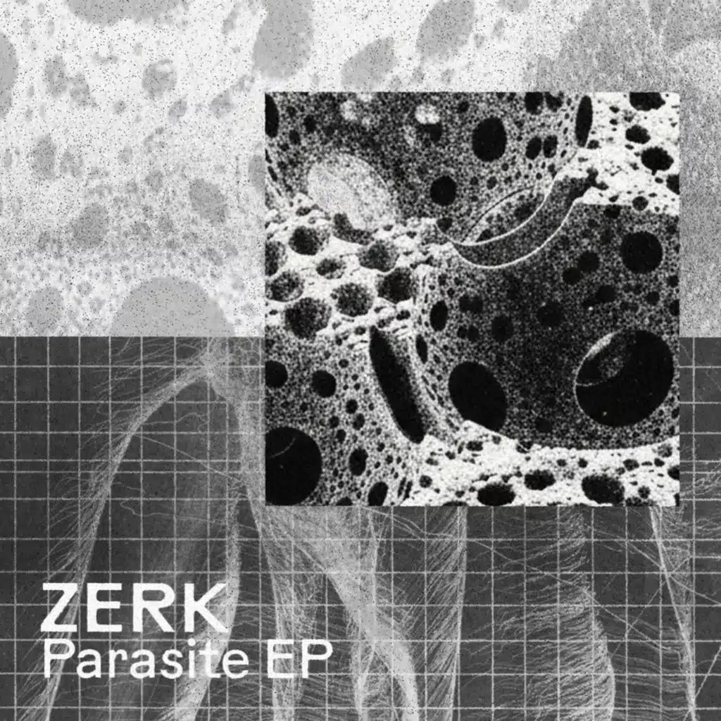 Parasite
