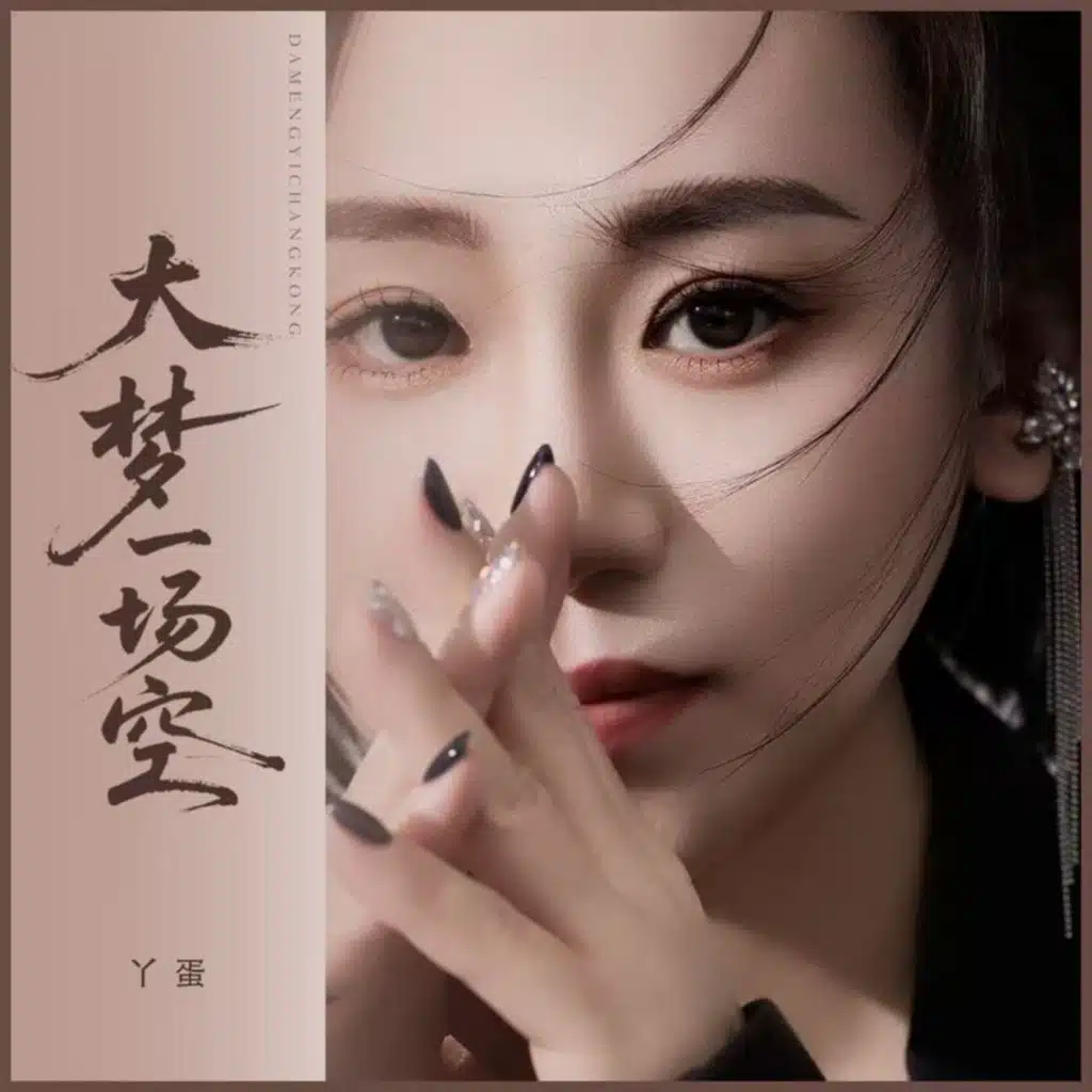 大梦一场空 (DJ阿尼版)