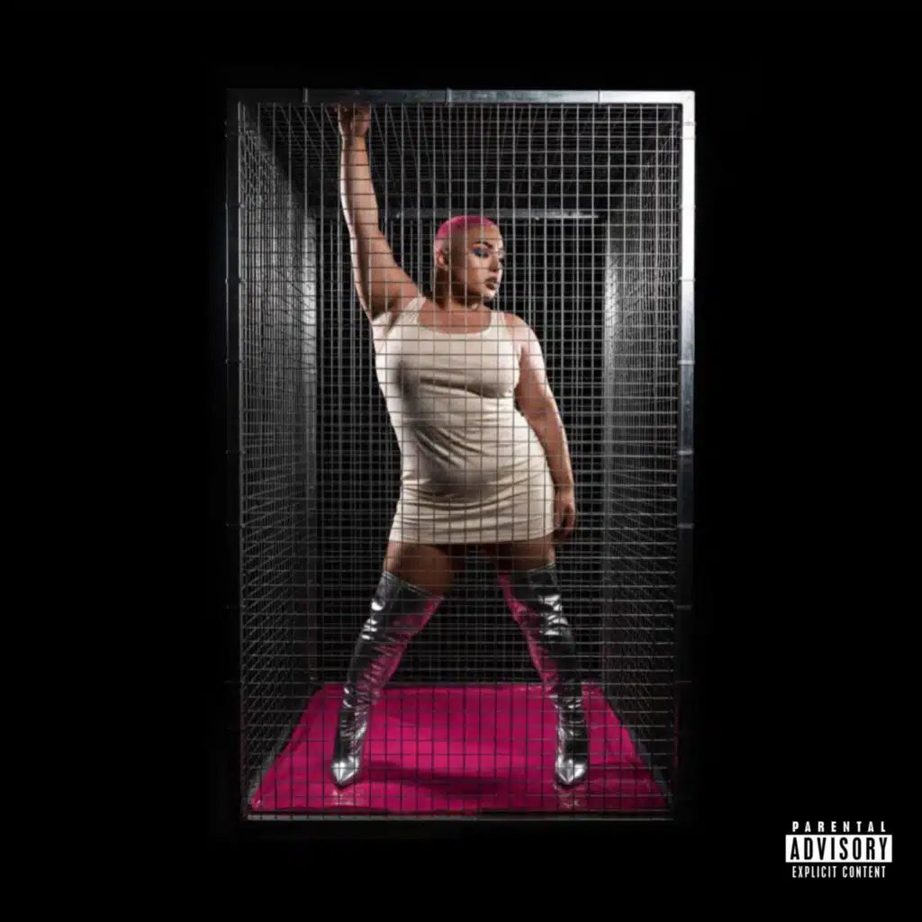 PINK (Deluxe Version)