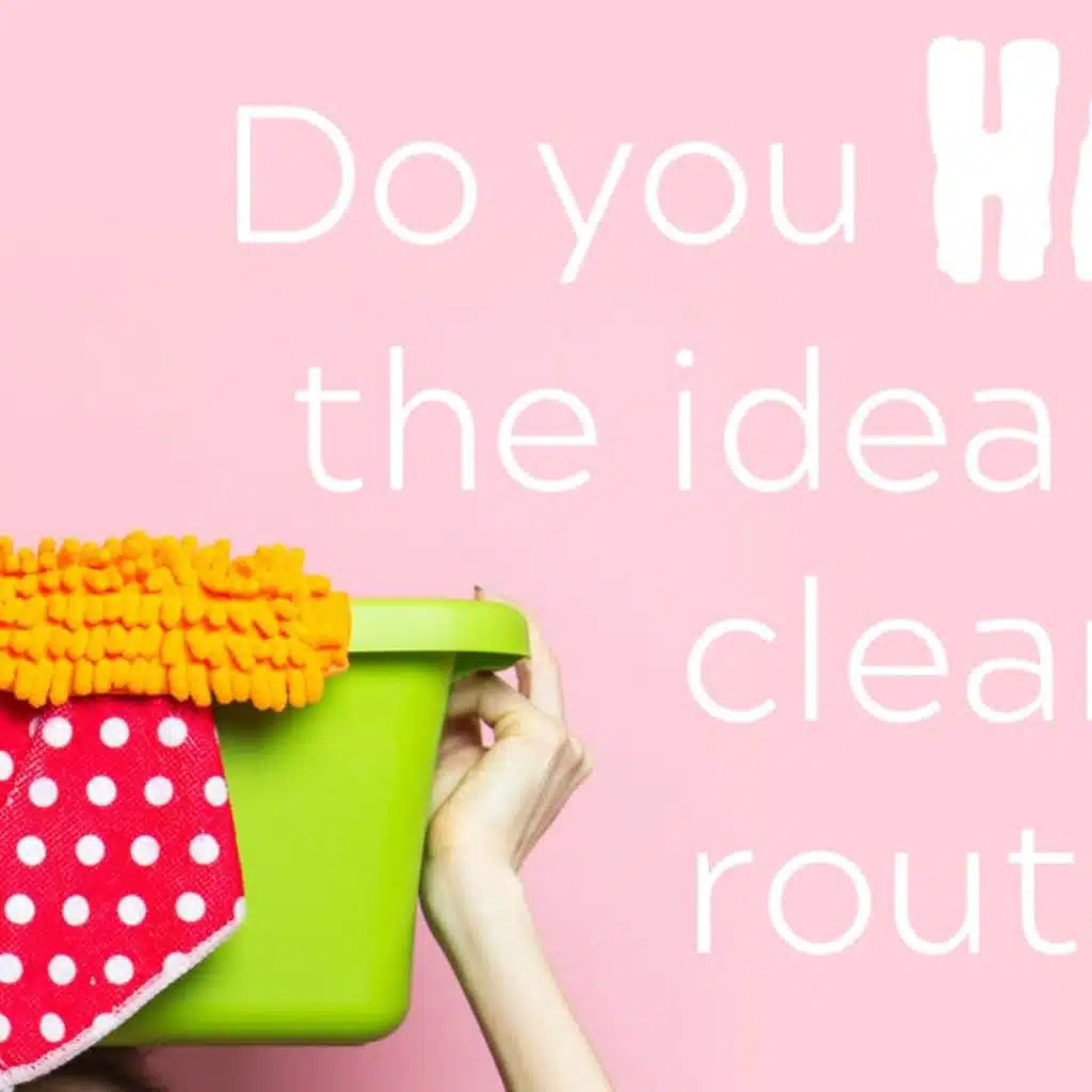 Do you hate the idea of a cleaning routine?  | Clutterbug Podcast # 80