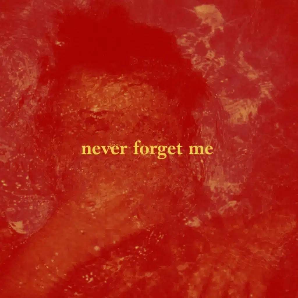 never forget me