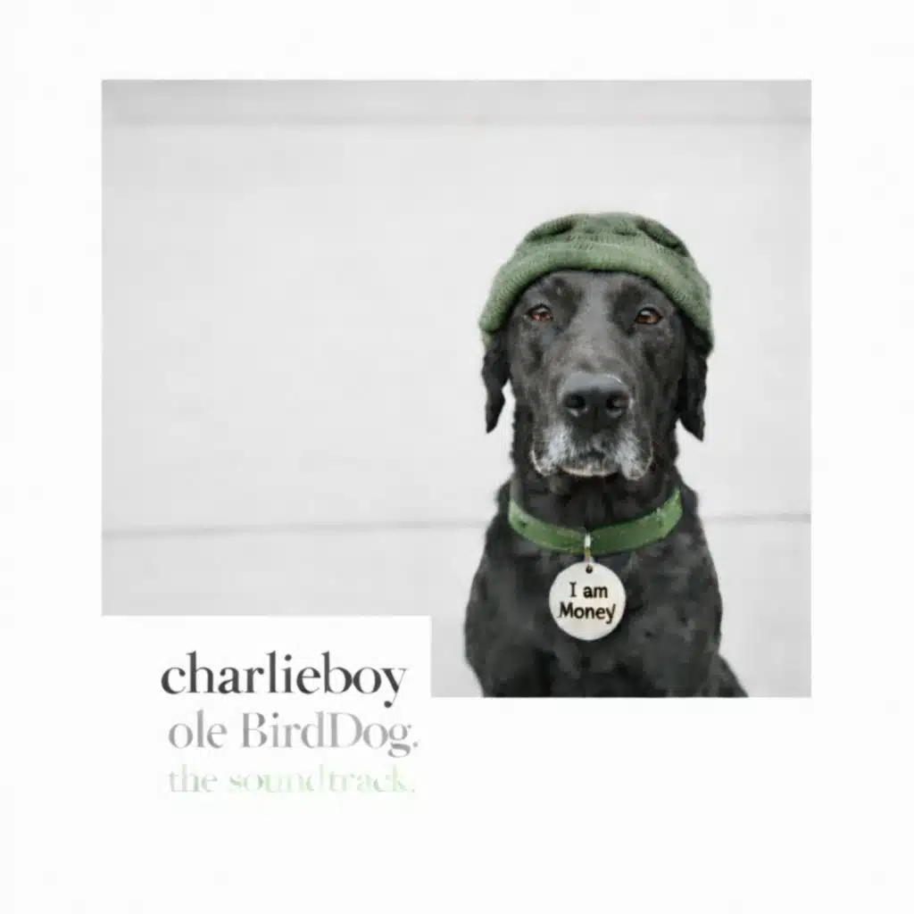 Ole Bird Dog: The Soundtrack