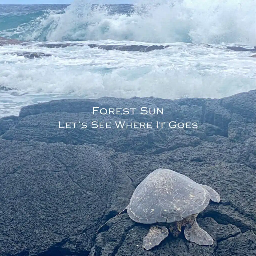 Forest Sun