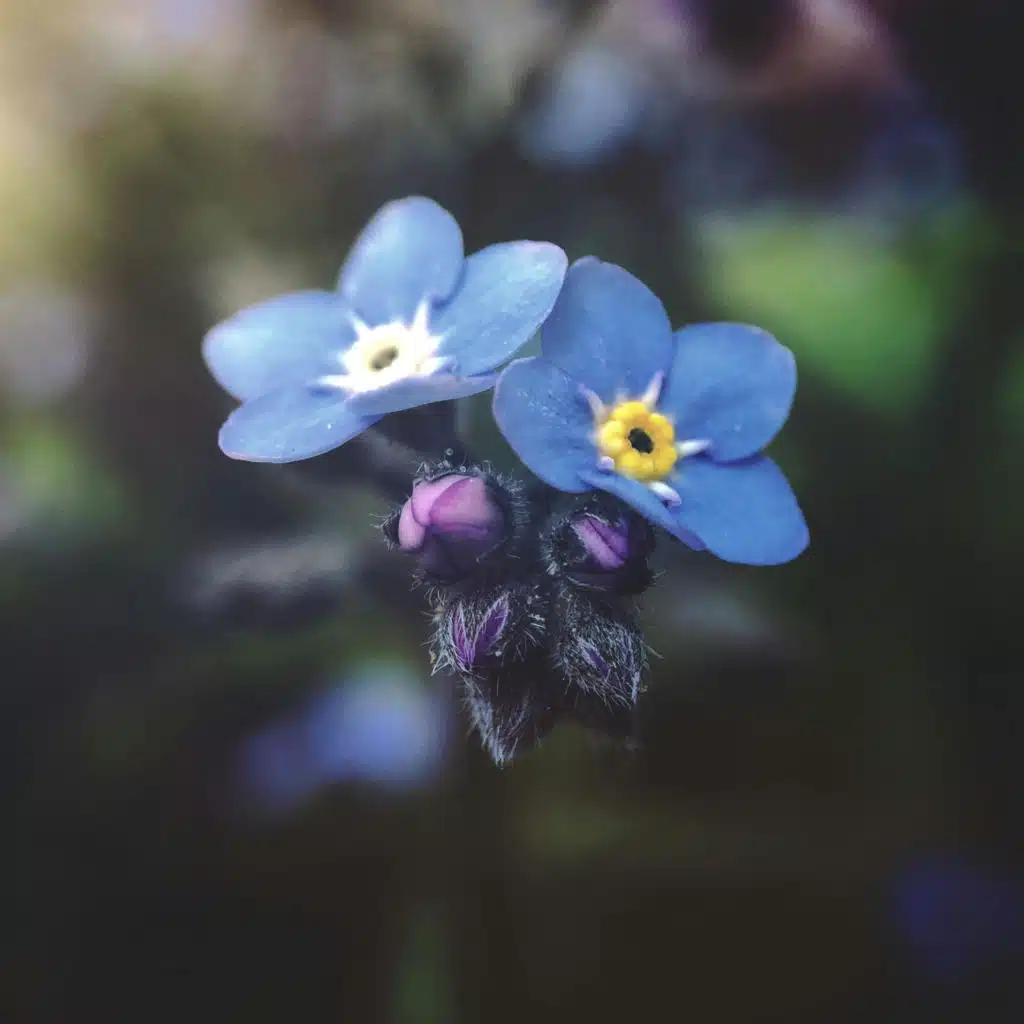 Not Gonna Sleep Tonight