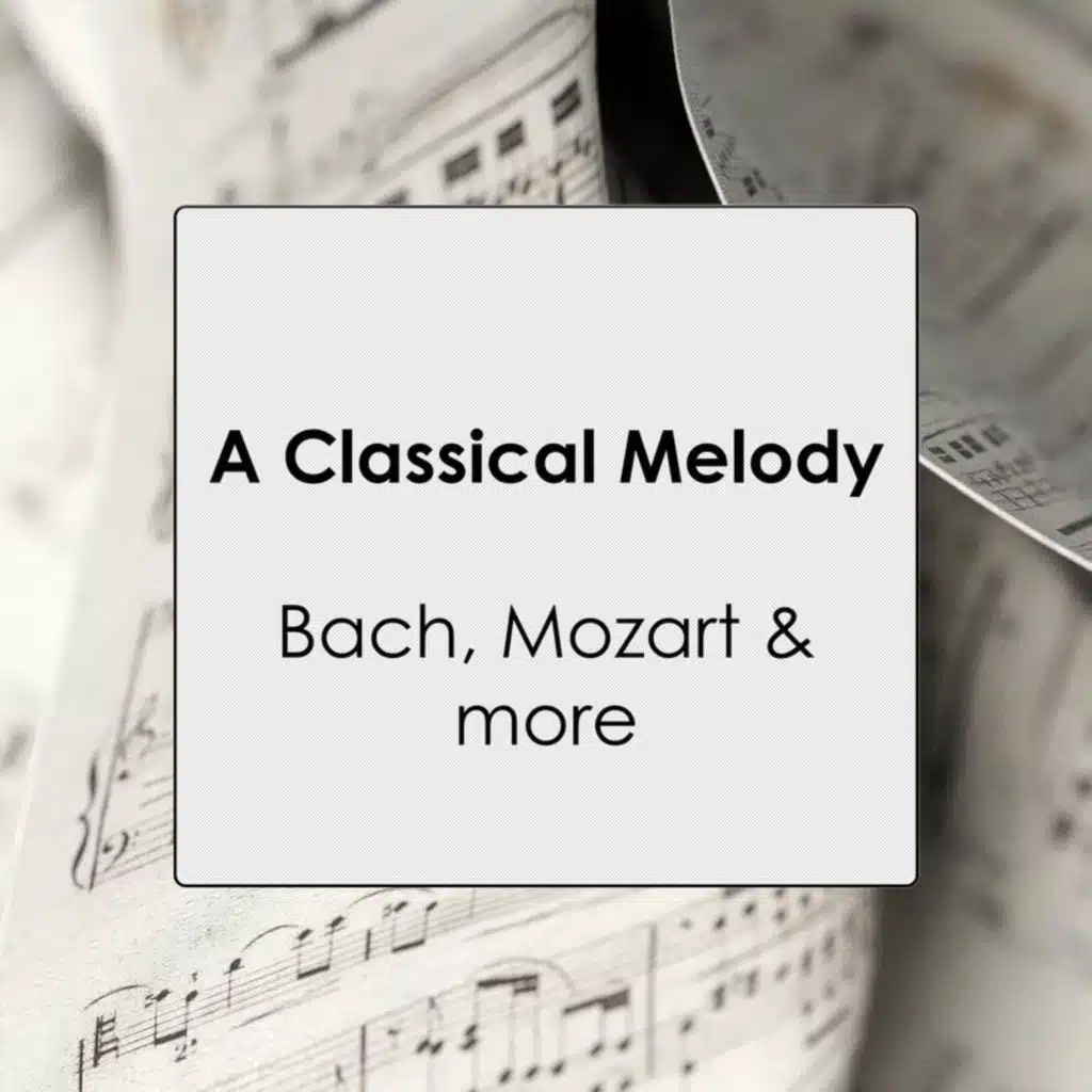 Chopin: 24 Preludes, Op. 28: No. 4 in E Minor. Largo