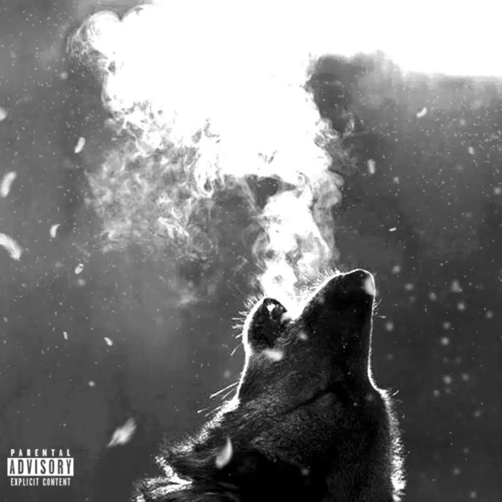 THE ALPHA PACK: COMPILATION