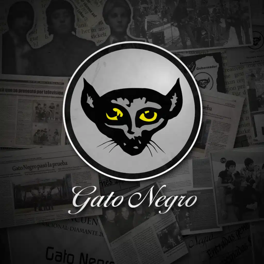 Gato Negro