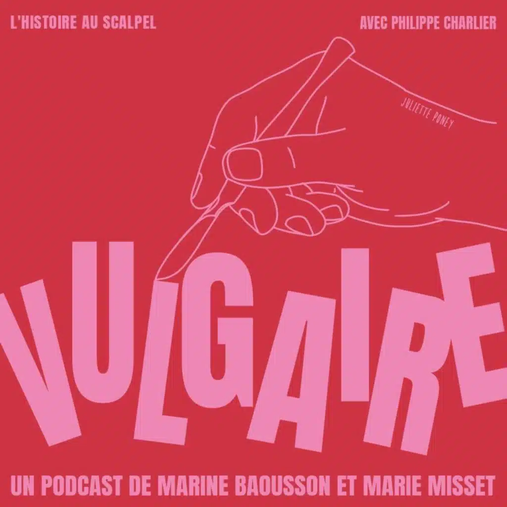 L'HISTOIRE AU SCALPEL