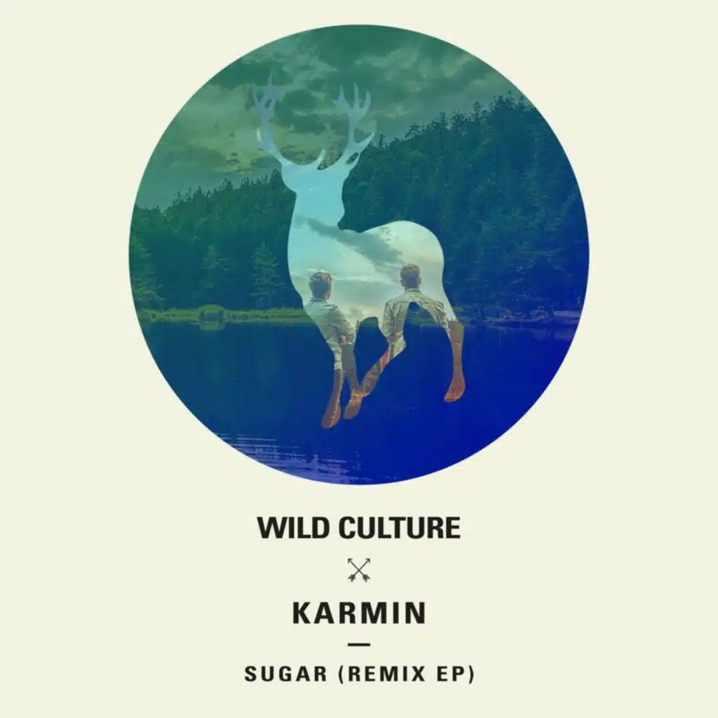 Sugar (Remixes)