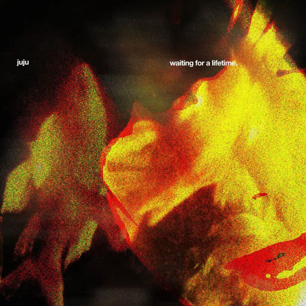 waiting for a lifetime