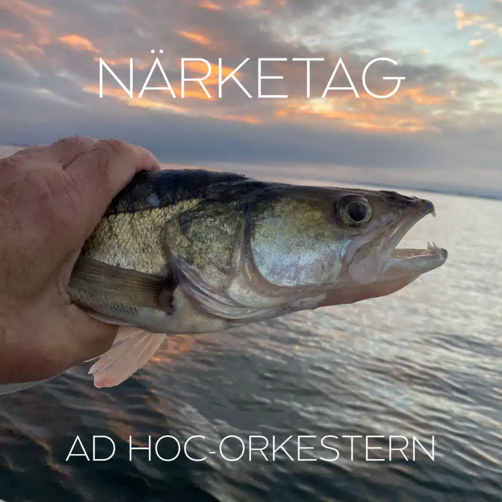 Närketag