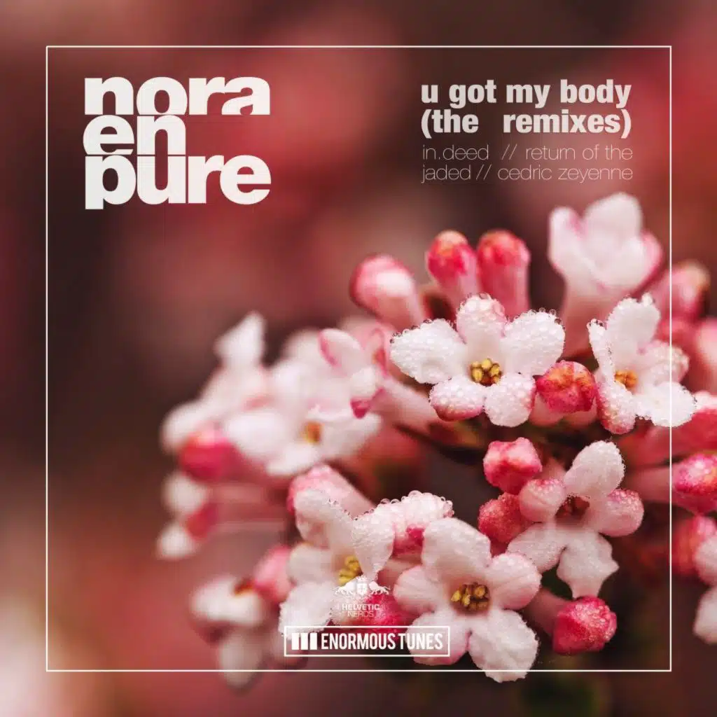 U Got My Body (In.Deed Remix)