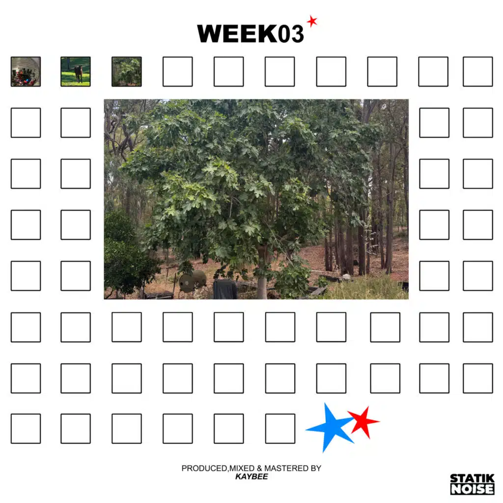 WEEK03