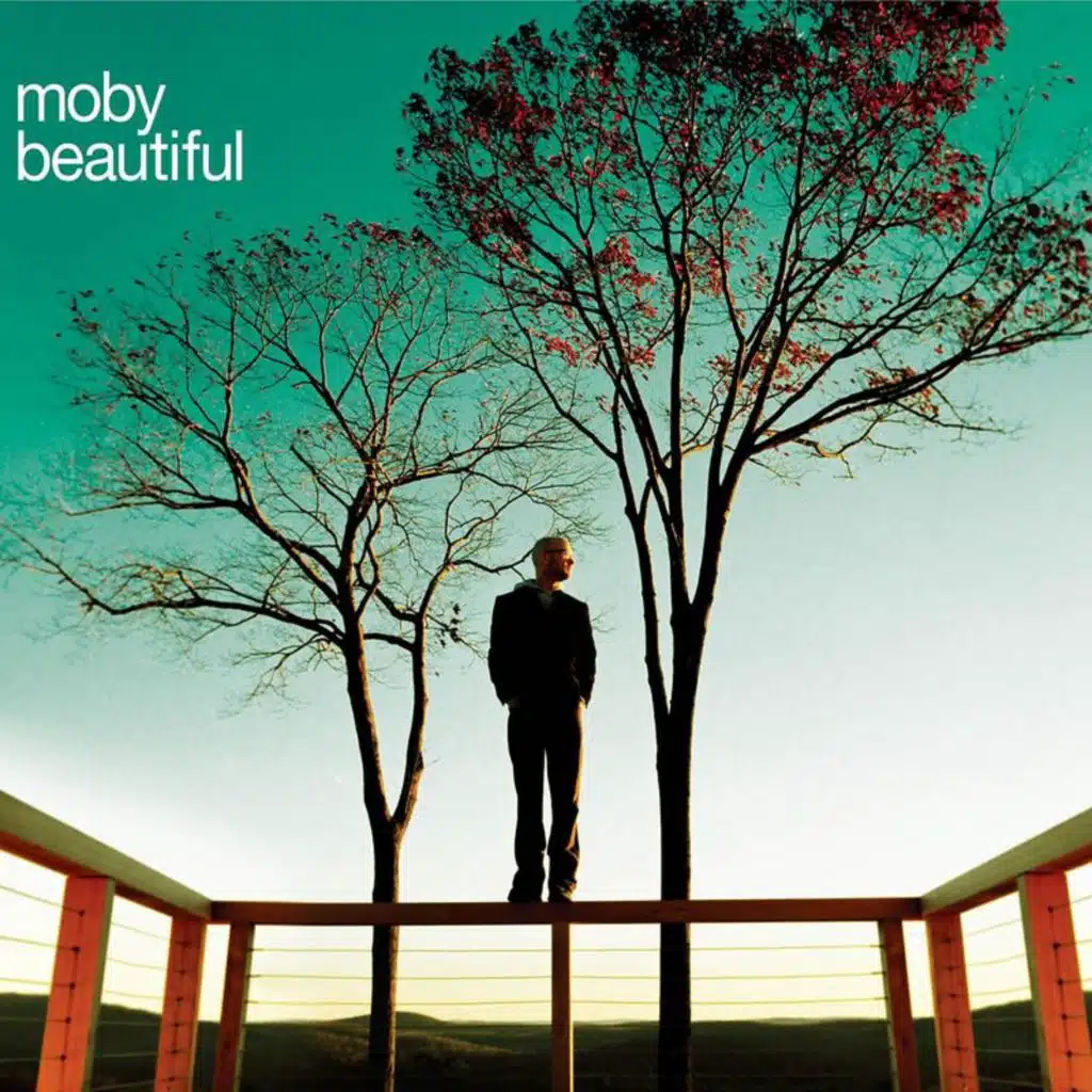 Beautiful (Sharam Jey Dub)