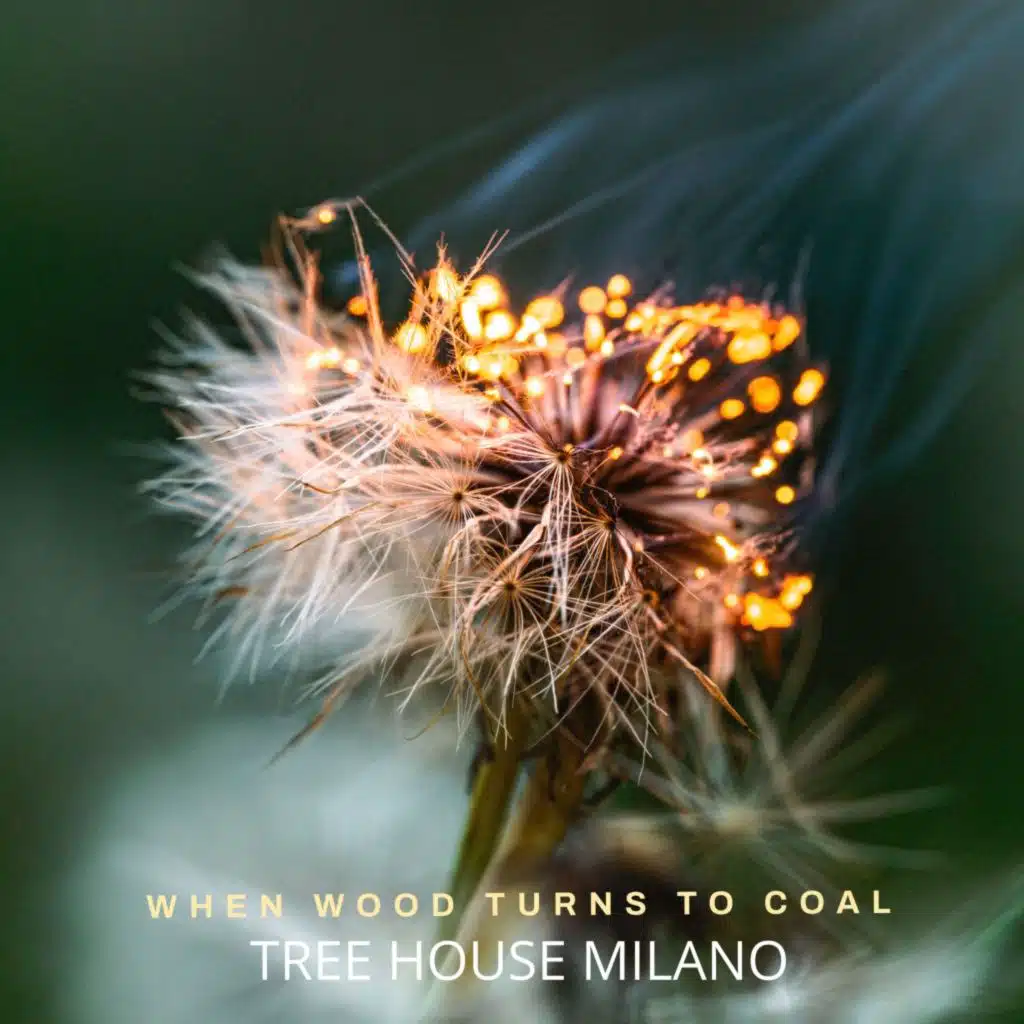 Tree House Milano