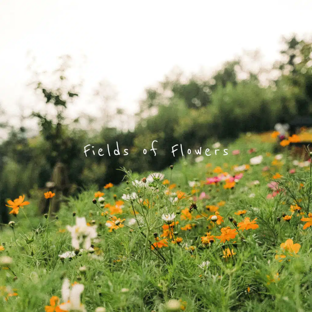 Fields of Flowers