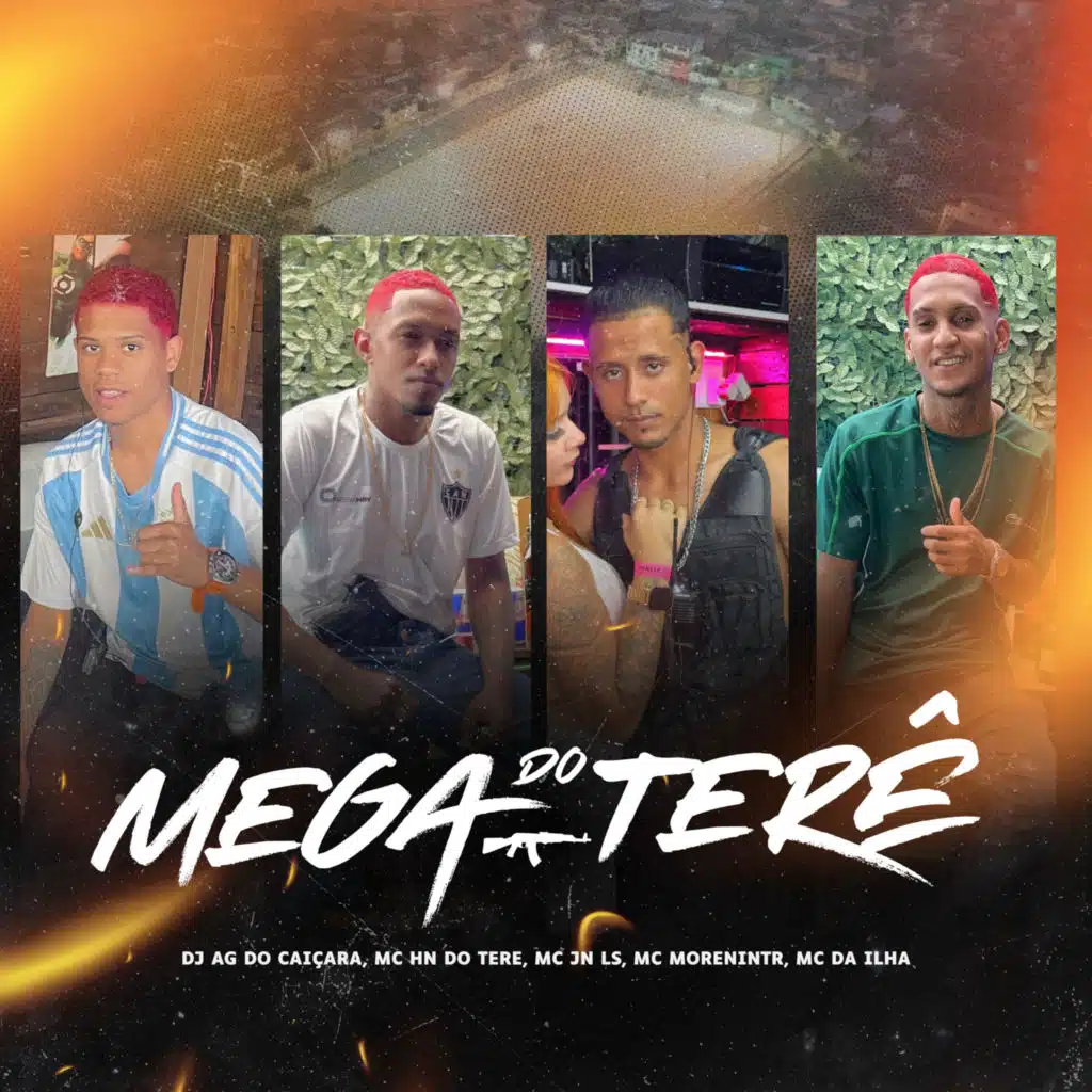 Mega do Terê (feat. DJ AG do Caiçara)