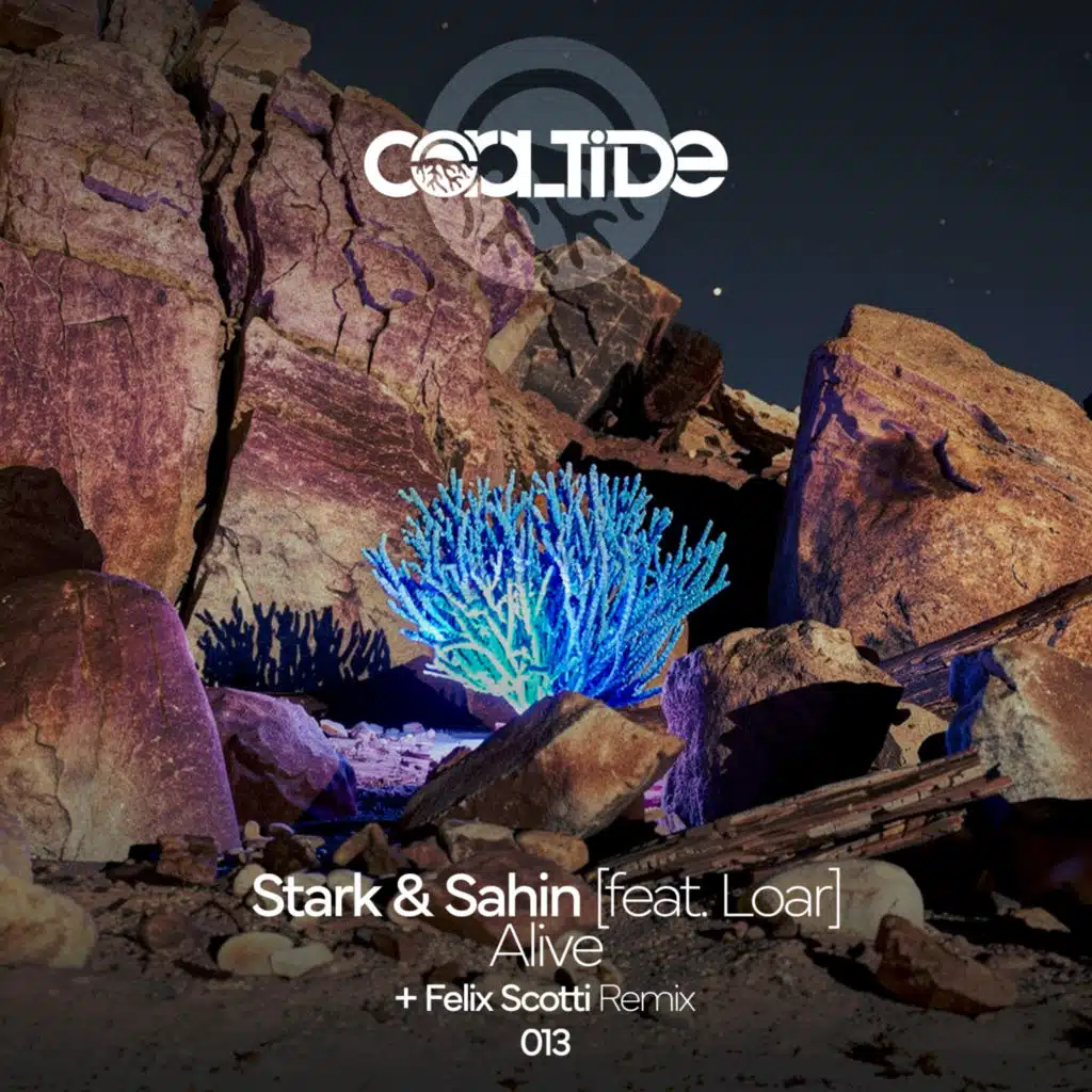 Felix Scotti, Dan Stark & Sertac Sahin