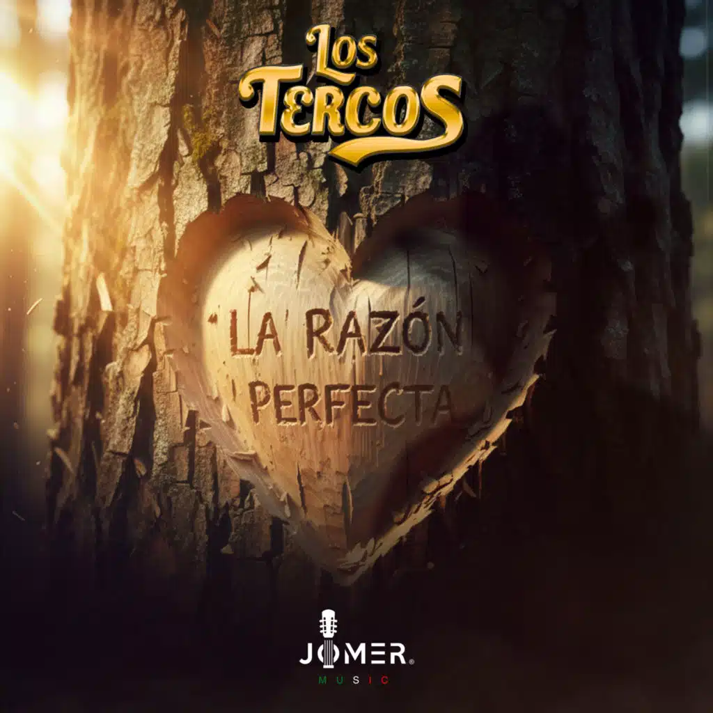 Los Tercos