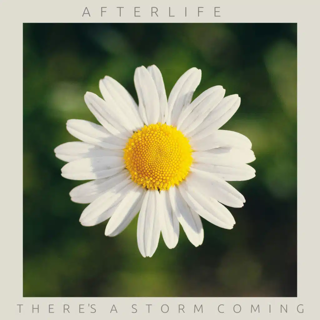 Afterlife