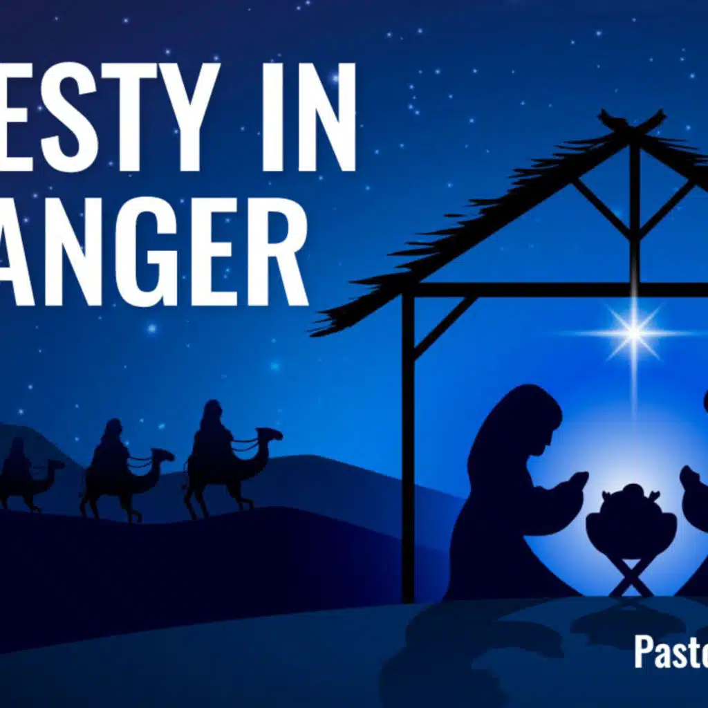 Majesty in a Manger