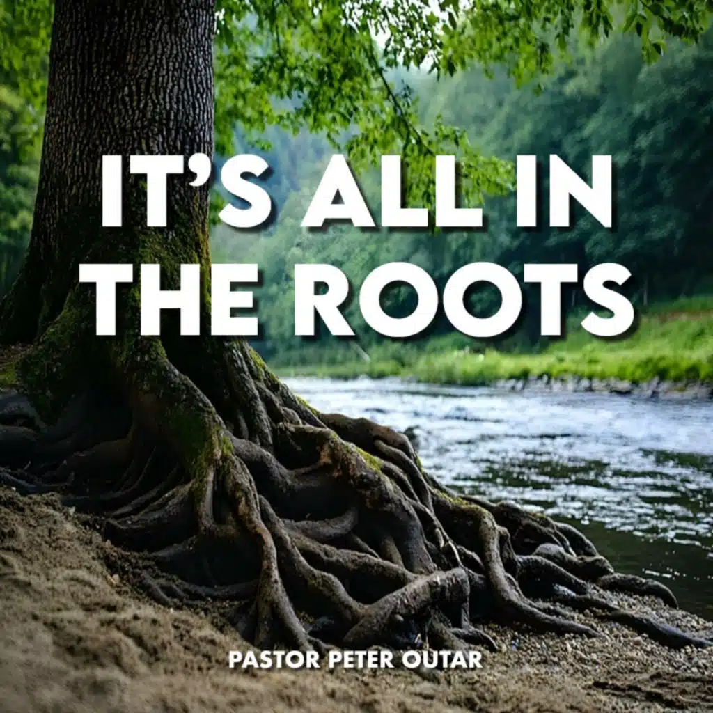 All in the Roots