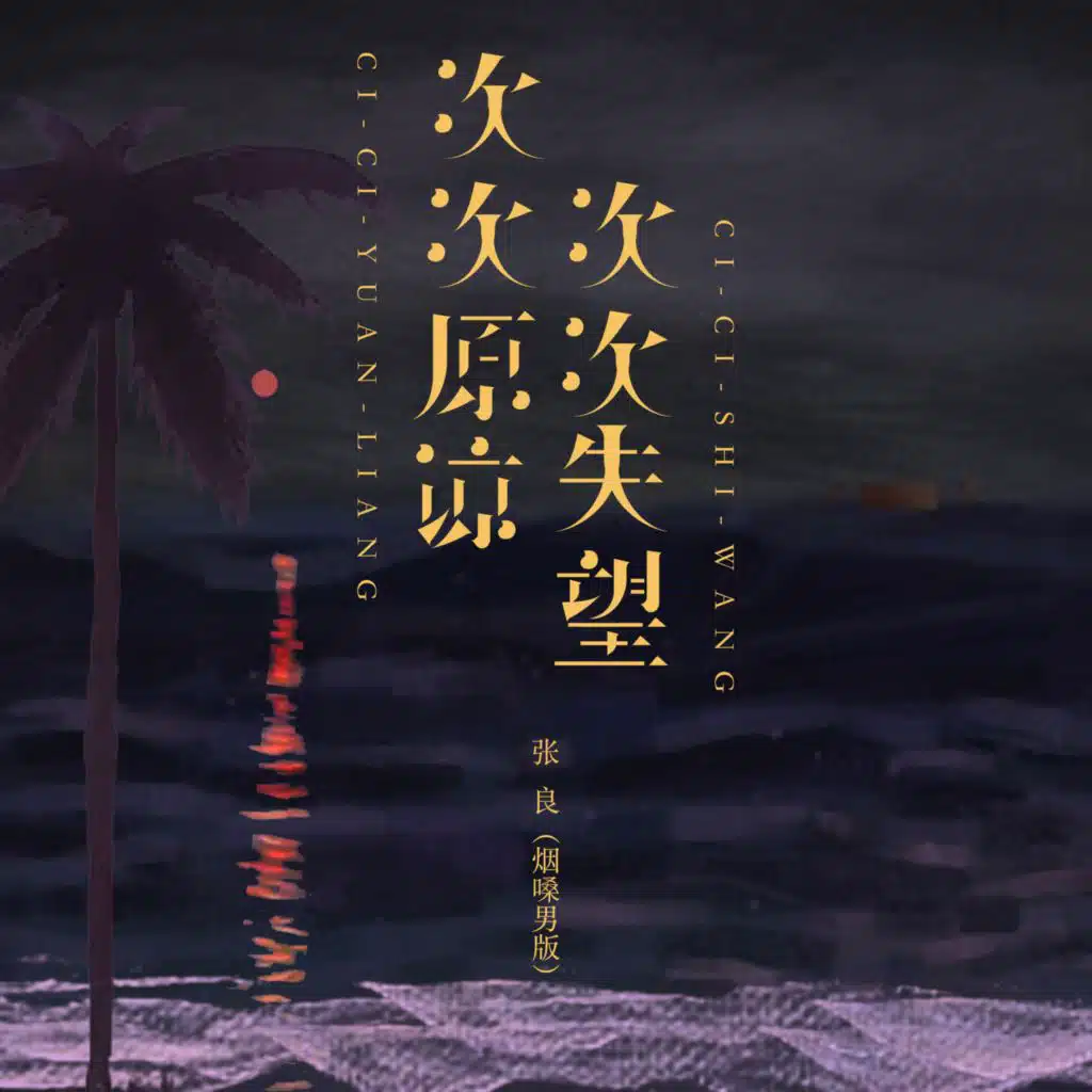 次次原谅次次失望 (烟嗓男版)