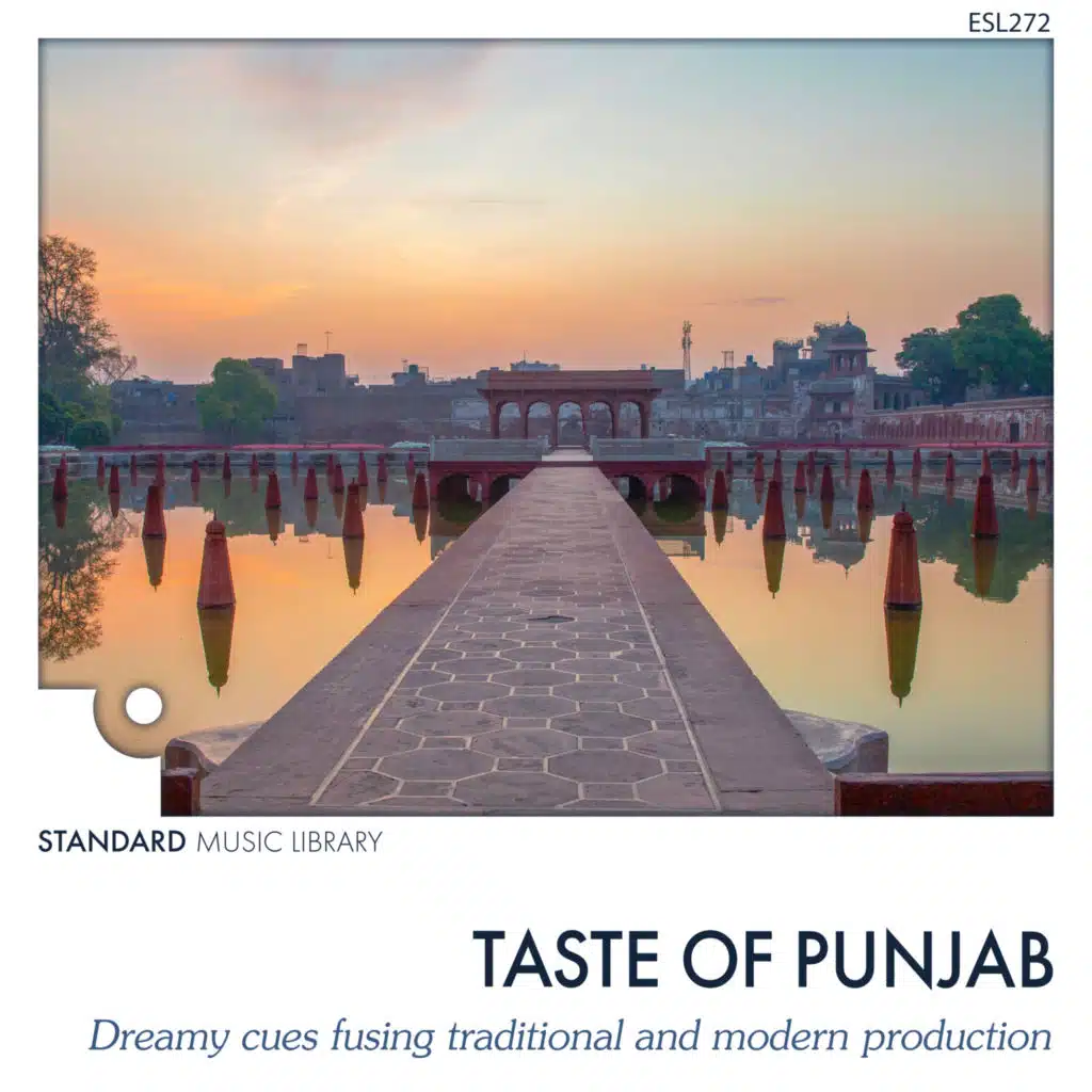 Taste of Punjab