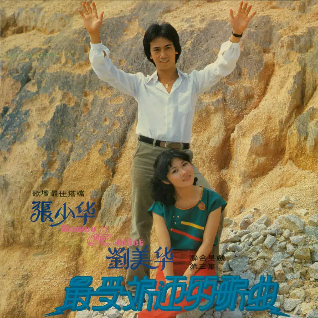 張少華, 劉美華