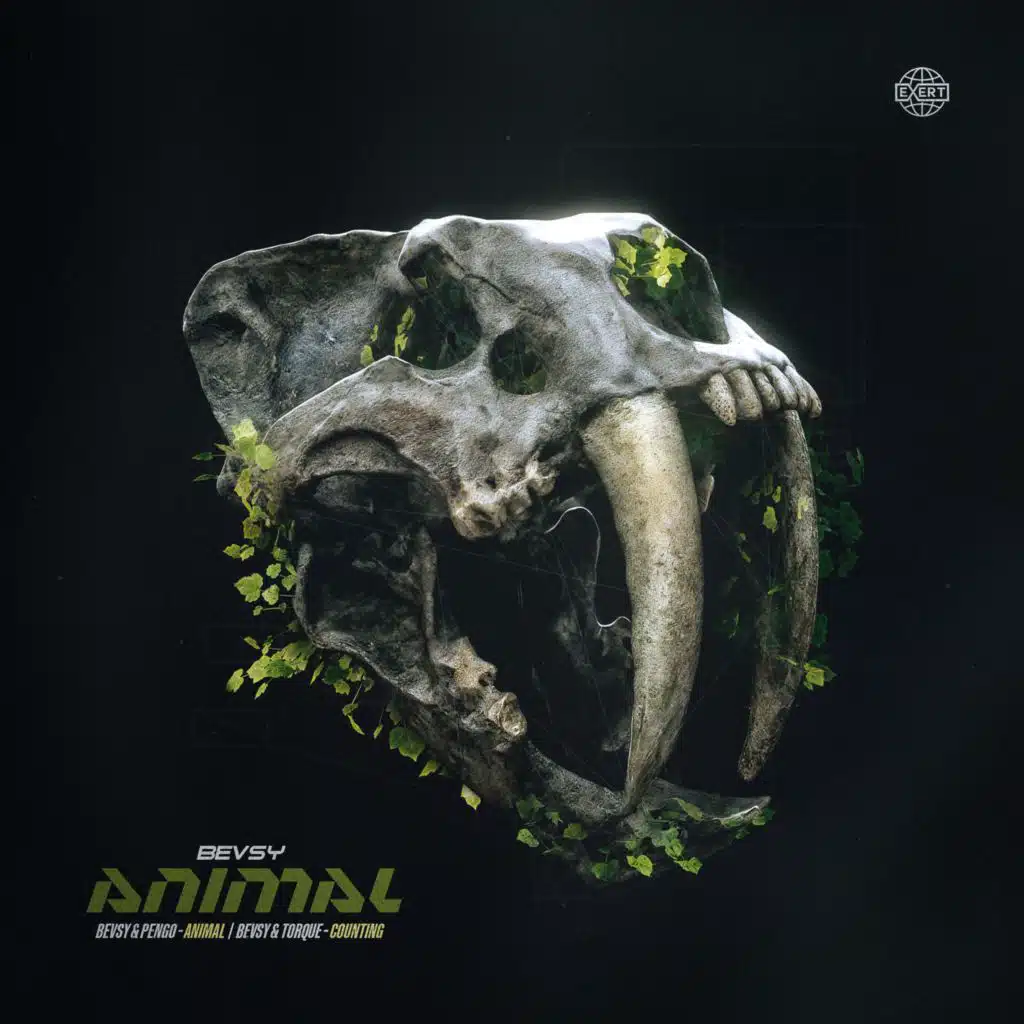Animal