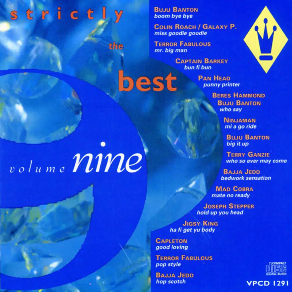 Strictly The Best Vol. 9