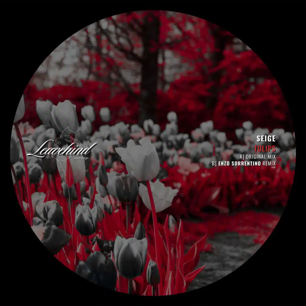 Tulips (incl. Enzo Sorrentino Remix)
