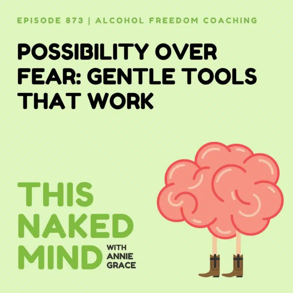 Possibility Over Fear: Gentle Tools That Work | Alcohol Freedom Coaching | EP 873