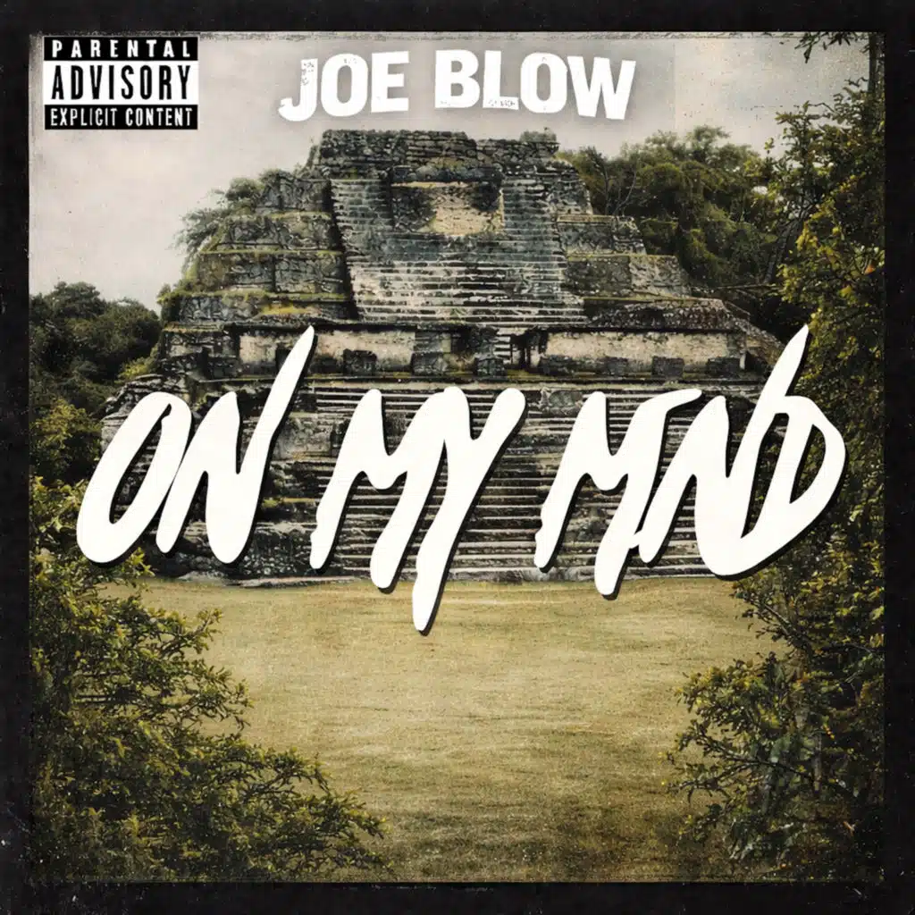 JOE BLOW