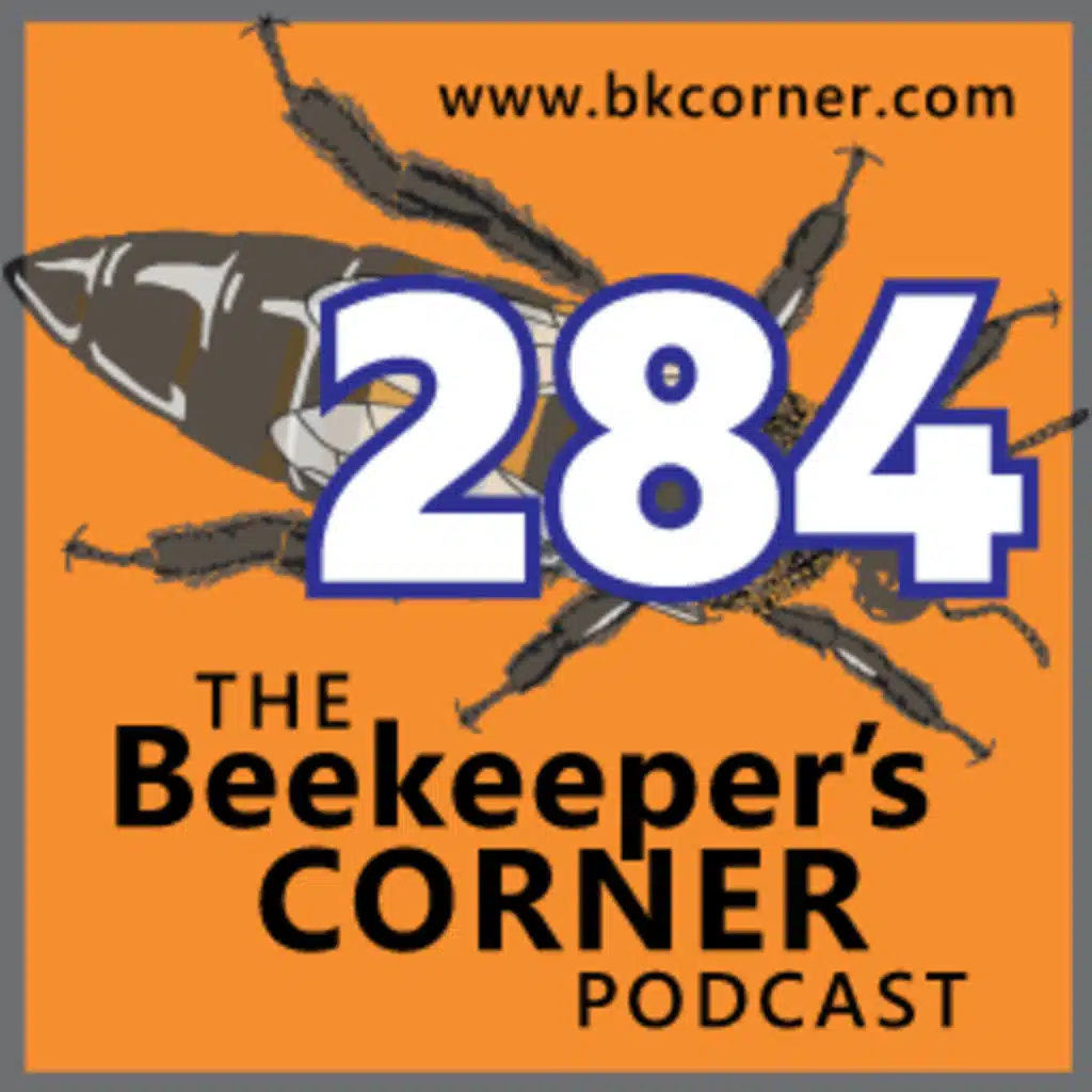 BKCorner Episode 284 - Out and About