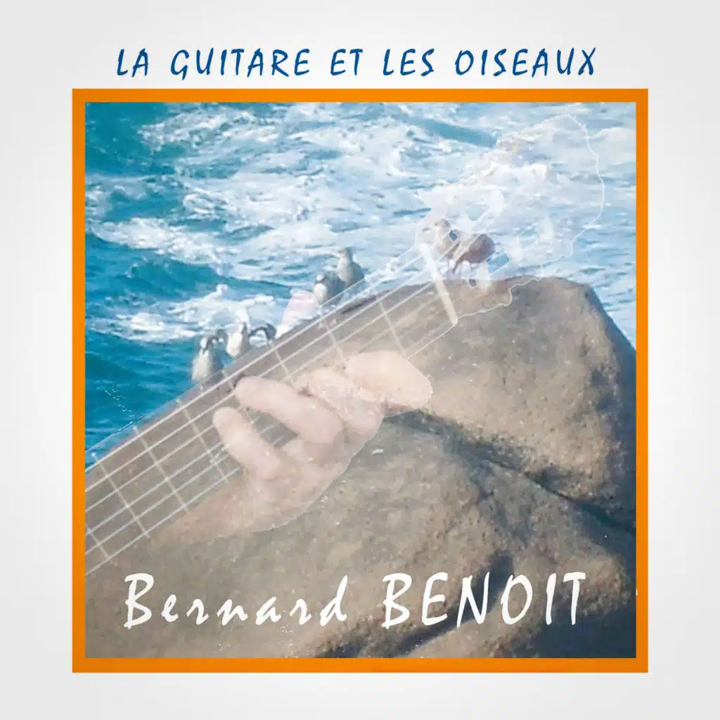 La guitare et les oiseaux