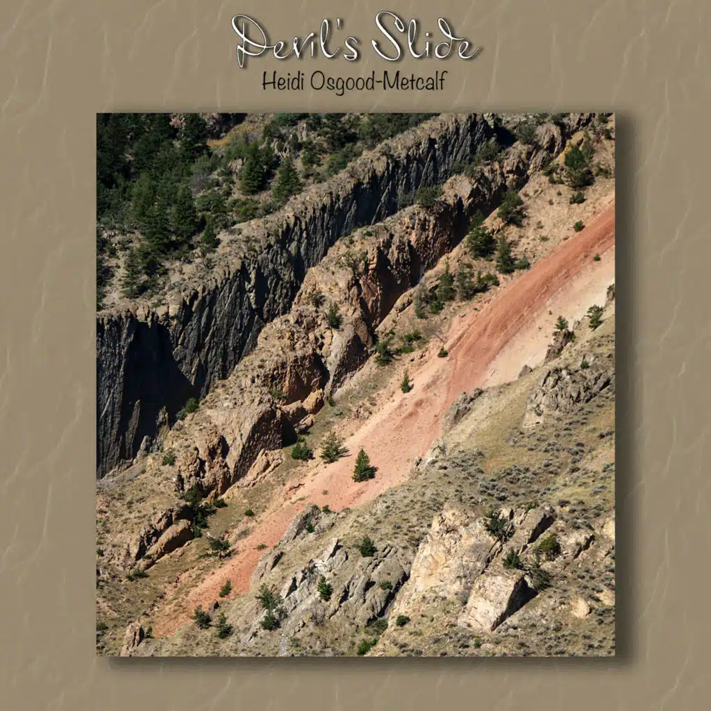 Heidi Osgood-Metcalf